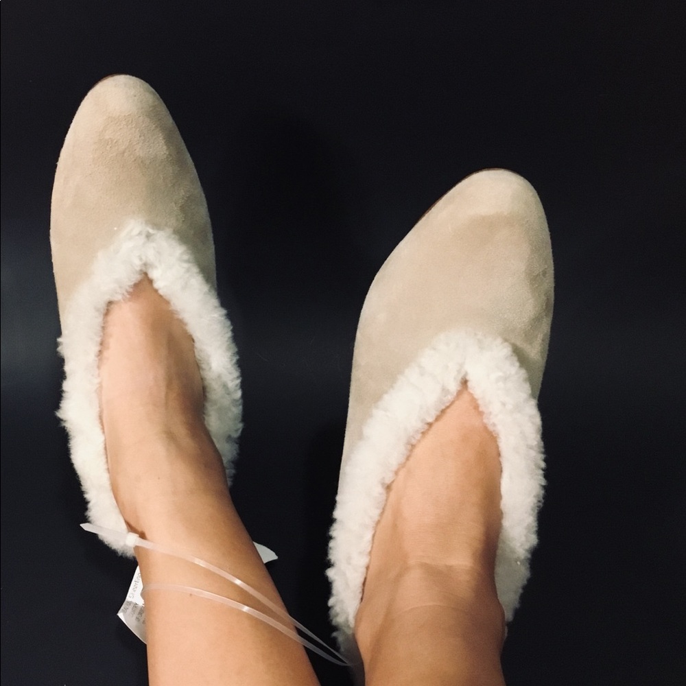 Mari Giudicelli Pina Ballerina - Picture 4 of 7